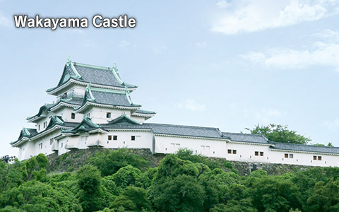 Wakayama Castle